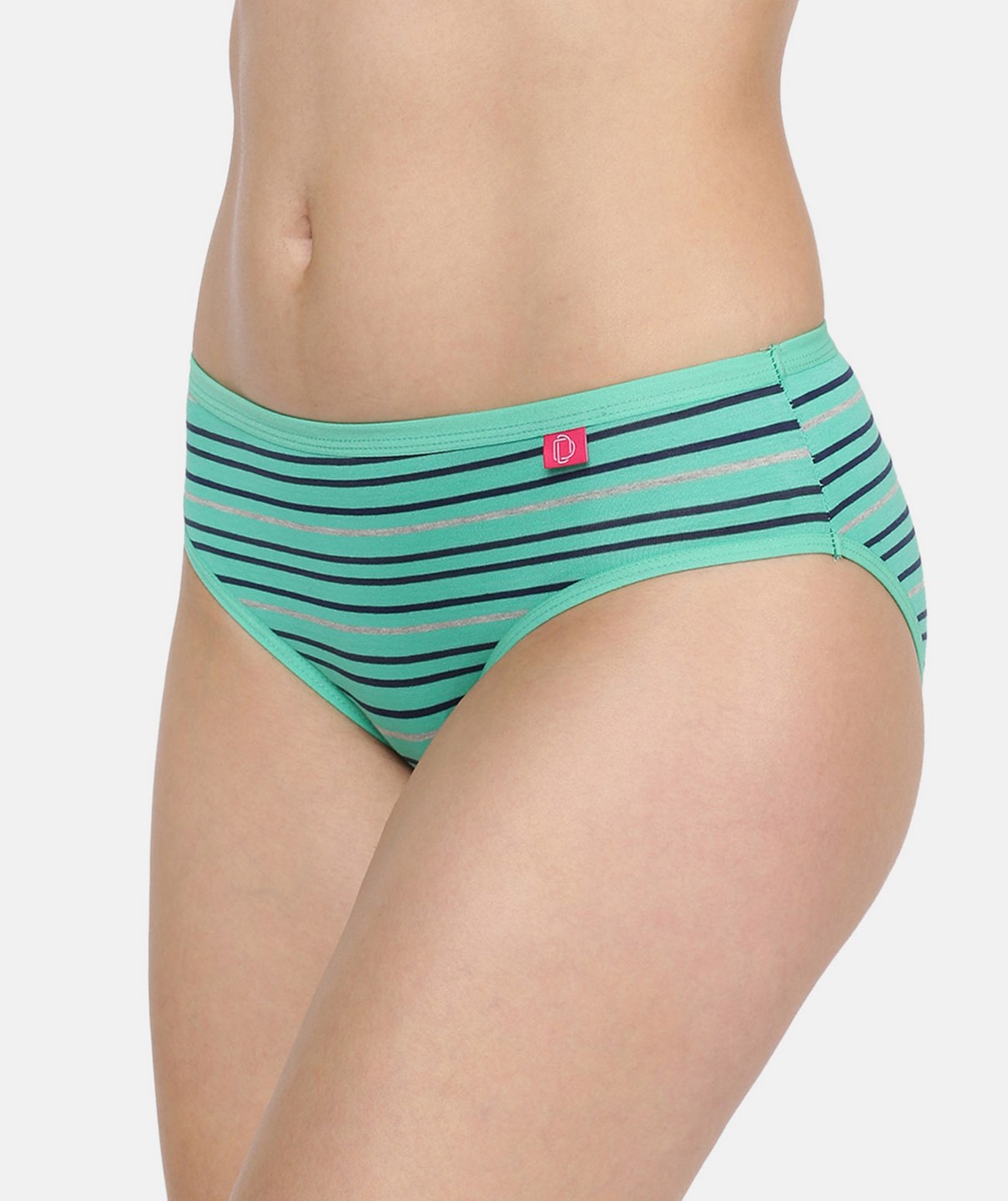 Dollar Missy Women Outer Elastic Stripes Assorted Pack of 2 Lycra Hipster  Panties – Dollarshoppe